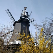 Südermühle Meldorf