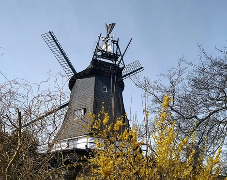 Südermühle Meldorf