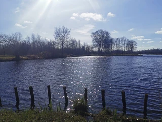 Süderholmer Moor