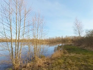 Süderholmer Moor