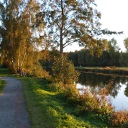 Ein ruhiger Weg führt entlang des Hagenburger Kanals mit Bäumen und einer friedlichen Wasseroberfläche.