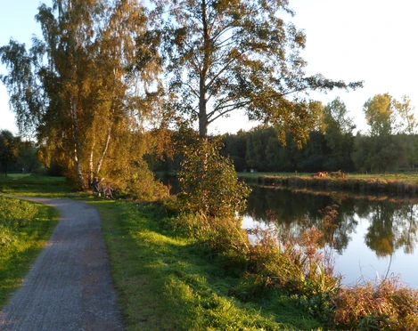 Ein ruhiger Weg führt entlang des Hagenburger Kanals mit Bäumen und einer friedlichen Wasseroberfläche.