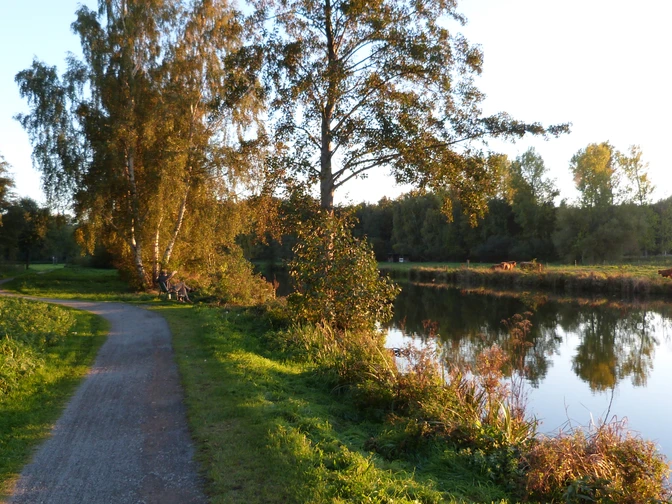 Hagenburger Kanal Ein ruhiger Weg führt entlang des Hagenburger Kanals mit Bäumen und einer friedlichen Wasseroberfläche.