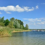 Blick auf die Segelboote am Tankumsee Blick auf die Segelboote am Tankumsee in der Südheide Gifhorn