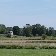 Aussichtsturm Grüner Aussichtsturm mit Holzhütte auf freier Wiese, umgeben von Bäumen vor blauem Himmel.