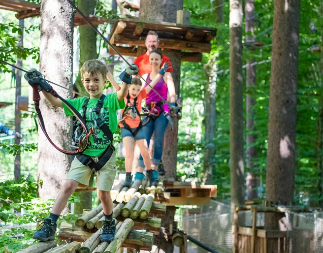 seilpark-interlaken-familie-baum-park