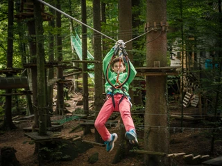 interlaken-seilpark-junge-sommer-zipline-wald-familienaktivitaeten