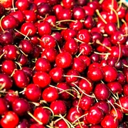 kulinarik_kirschen_schinkendiele_bad-zwischenahn