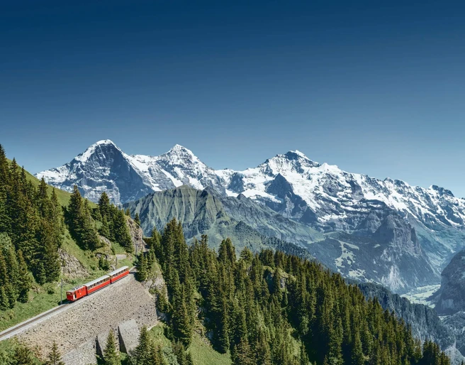 schynige-platte-bahn-panorama-sommer