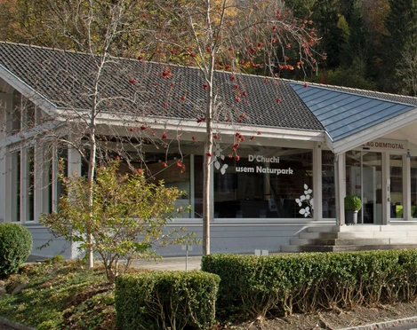 Luginbühl AG Diemtigtal