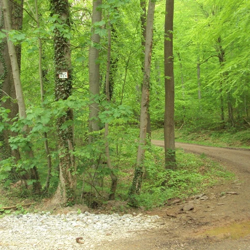 Salzgitter-Bad, Knotenpunkt Wanderwege 13 und 14