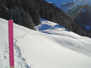 Trail en raquettes Grimmialp dans un magnifique paysage hivernal