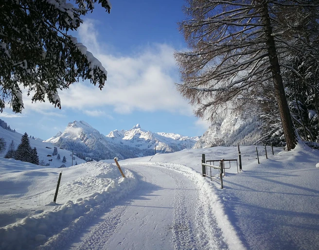 Vue hivernale depuis l'hôtel Kurhaus Grimmialp