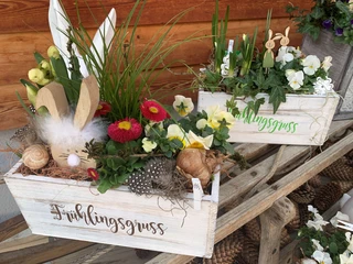 Frühlingsgruss