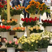 rstede_blumenladen