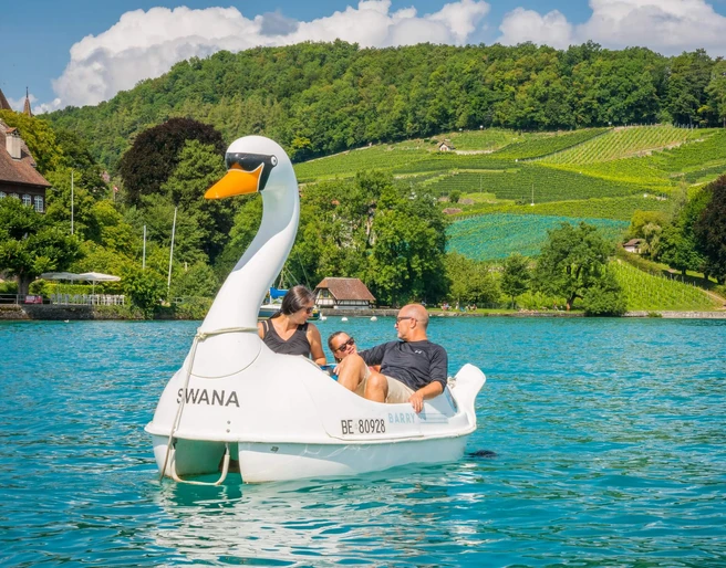 spiez-schwanenpedalon-sommer-thunersee-ausflug-rebberg-panorama-boot-pedalo