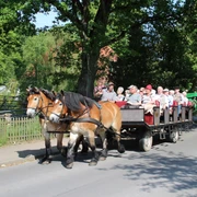 kutsche-heins-undeloh