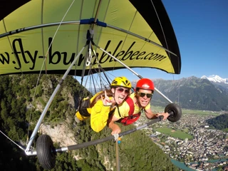 bumblebee-haggliding-herbst-boedeli