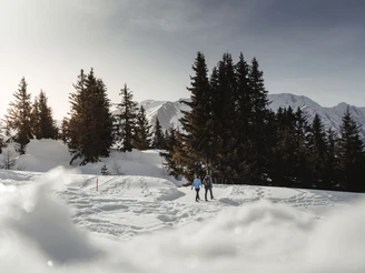 Winterwandern Herrenweg in der Aletsch Arena Winterwandern Herrenweg in der Aletsch Arena