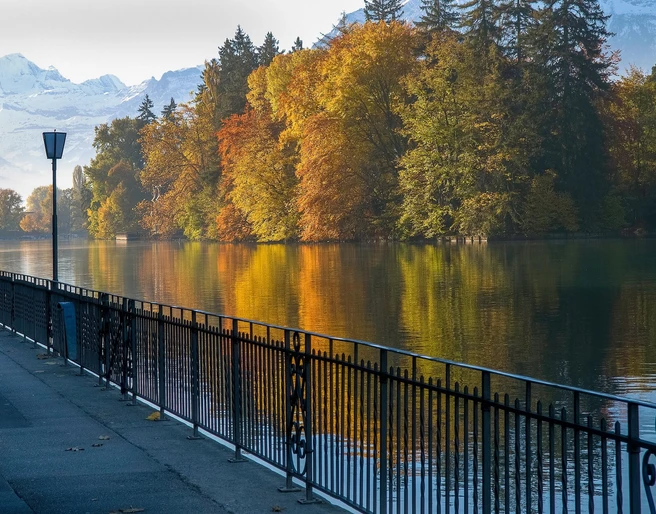 thun-aarequai-herbst-aare-bluemlisalp