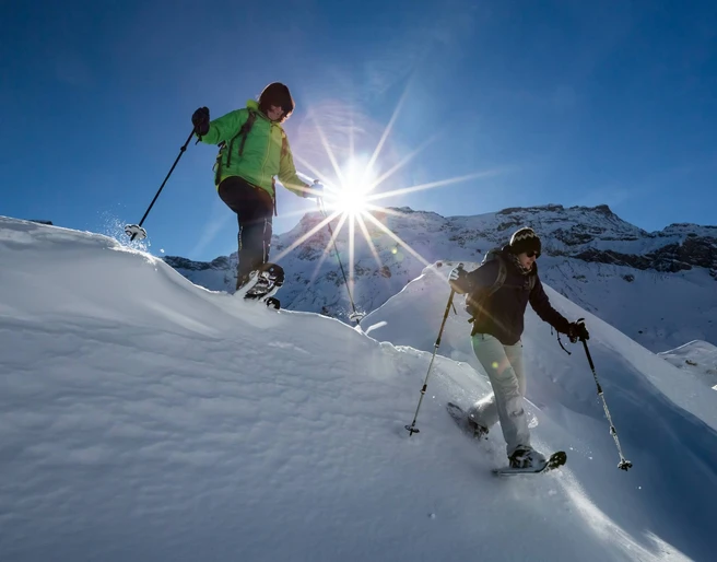 alpinschule-bergfalke-thun-winter-schneeschuh-tour