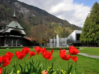 interlaken-kursaal-garten-rosen-fruehling-blumen