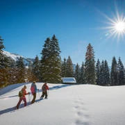 habkern-lombachalp-winter-schneeschuhlaufen-wald-huettli-soft-adventure