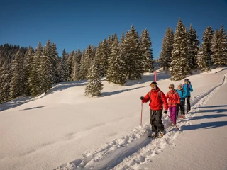 habkern-lombachalp-winter-schneeschuhlaufen-wald-winteraktivitaeten