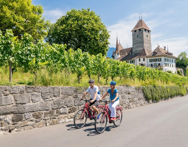 spiez-e-bike-vermietung-schloss-spiez-sommer-tour