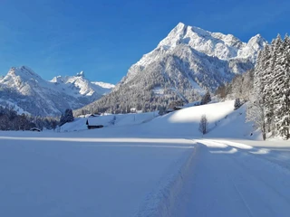 naturpark-diemtigtal-langlaufen-mit-atemberaubender-aussicht