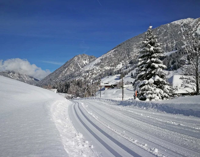 naturpark-diemtigtal-winter-langlauf-loipe-grimmialp