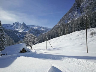 naturpark-diemtigtal-winter-langlauf-loipe-grimmimutz-blick-spillgerte