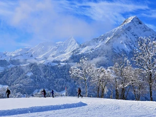 aeschi-langlauf-loipe-winter-panorama