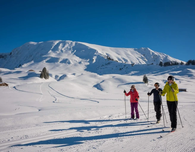 lombachalp-langlauf-berge-winter-wintersport