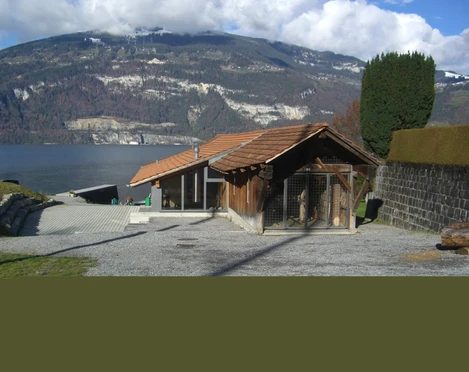 leissigen-alte-sagi-thunersee-museum