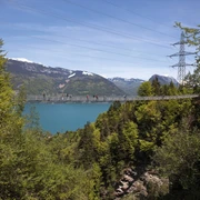 leissigen-fruehling-haengebruecke-thunersee