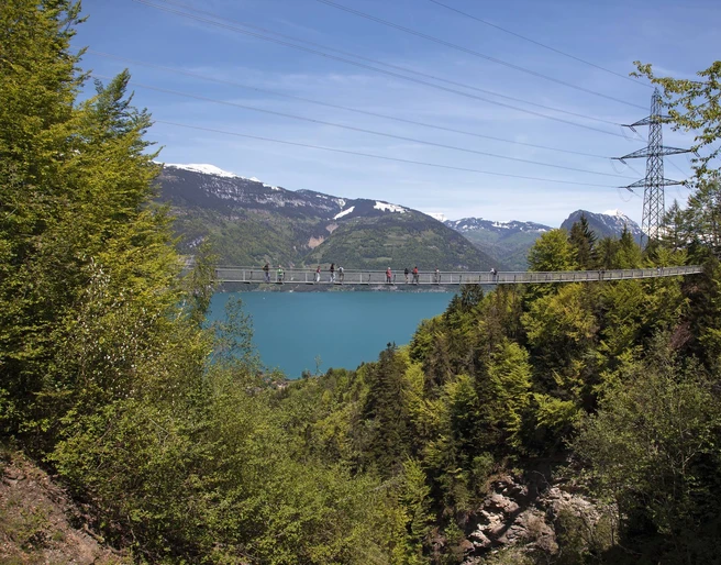 leissigen-fruehling-haengebruecke-thunersee