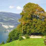 leissigen-finel-hodler-gedenkstaette-sommer-thunersee