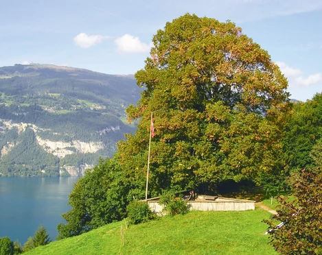 leissigen-finel-hodler-gedenkstaette-sommer-thunersee