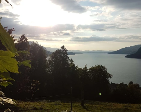 leissigen-finel-hodler-gedenkstaette-sommer-wald-thunersee