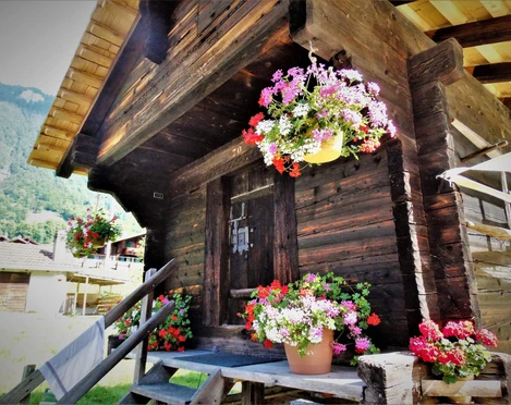 ringgenberg-dorfmuseum-schlossweid-fruehling