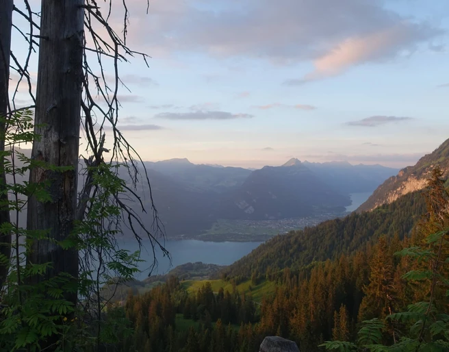 aeschi-alp-brunni-sommer-abenstimmung-thunersee