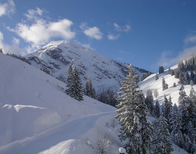 wiriehorn-natur-schlittenpiste-winter-schlitteln
