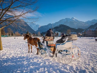 interlaken-kutschenfahrt-dorfrundfahrt-winter