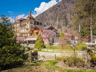 interlaken-japanischer-garten-fruehling