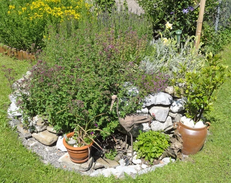 Vielfältiger Kräutergarten
