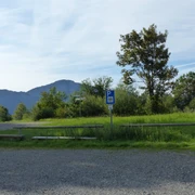 Moosstraße_800mP1030549.JPG