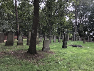 Jüdischer Friedhof  Historischer jüdischer Friedhof mit alten, von Bäumen umgebenen Grabsteinen und grüner Rasenfläche.