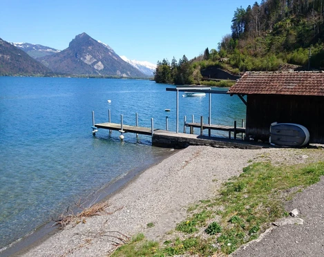 leissigen-bootswerft-wilke-sommer-thunersee