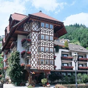 Hotel Hirsch